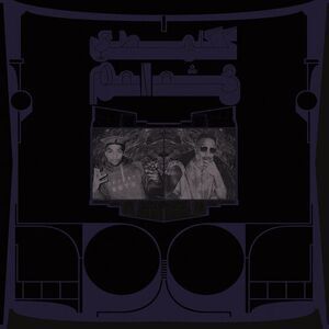 Exotic Birds Of Prey - Translucent White